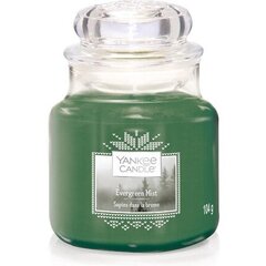 Ароматическая свеча Yankee Candle Evergreen Mist, 411 г цена и информация | Подсвечники, свечи | pigu.lt