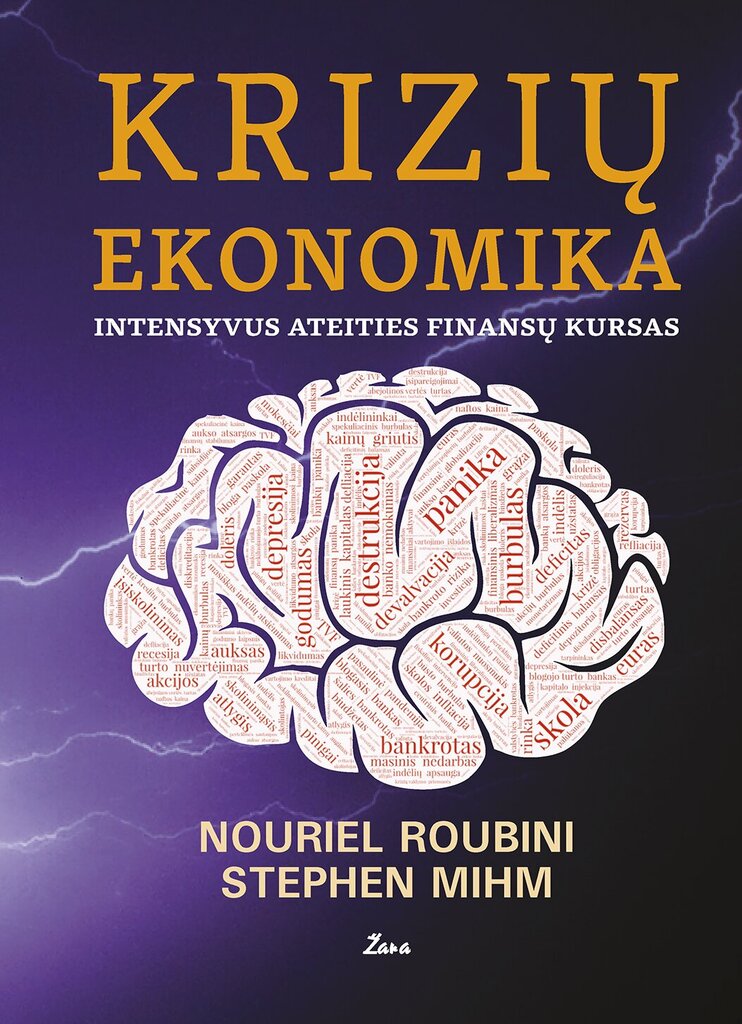 Krizių ekonomika: intensyvus ateities finansų kursas цена и информация | Socialinių mokslų knygos | pigu.lt