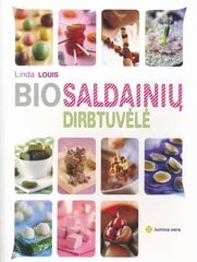 Bio saldainių dirbtuvėlė kaina ir informacija | Receptų knygos | pigu.lt