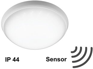 LED Šviestuvas su judesio davikliu G.LUX GR-CP-LED-15W/SENSOR kaina ir informacija | Lubiniai šviestuvai | pigu.lt