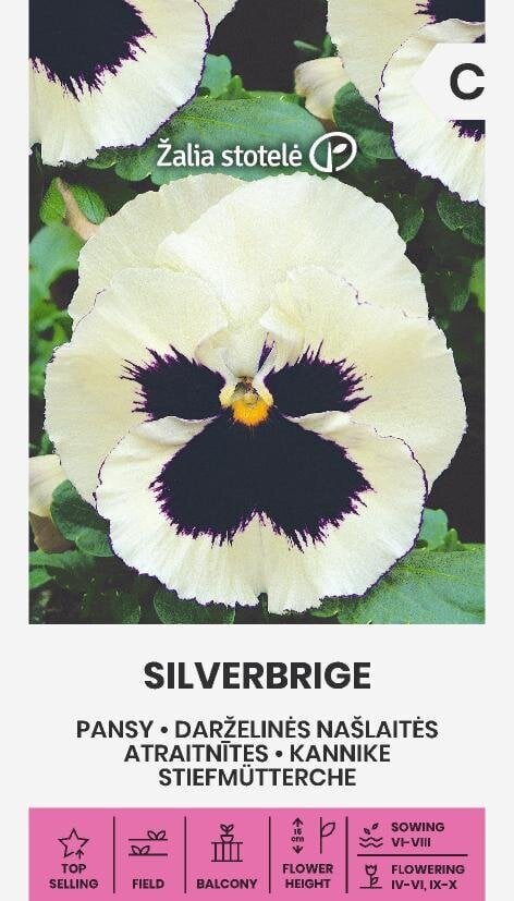 Darželinės našlaitės Silverbrige цена и информация | Gėlių sėklos | pigu.lt