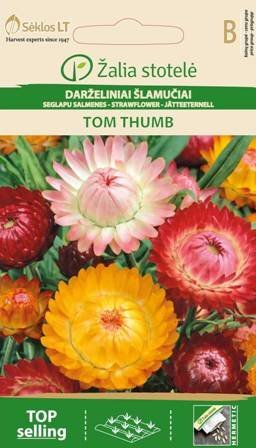 Darželiniai šlamučiai Tom thumb kaina ir informacija | Gėlių sėklos | pigu.lt