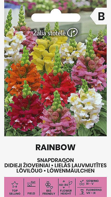 Didieji žioveiniai Rainbow цена и информация | Gėlių sėklos | pigu.lt