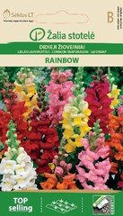 Львиный зев Rainbow цена и информация | Семена цветов | pigu.lt