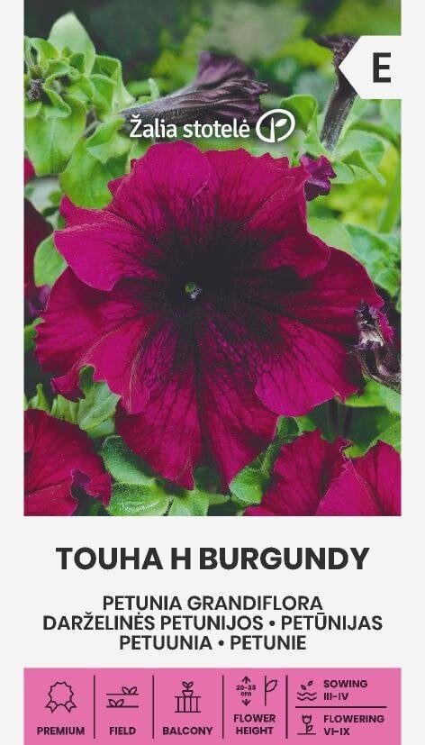 Didžiažiedės petunijos Touha H Burgundy цена и информация | Gėlių sėklos | pigu.lt