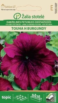 Петуния Touha H Burgundy цена и информация | Семена цветов | pigu.lt
