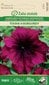 Didžiažiedės petunijos Touha H Burgundy kaina ir informacija | Gėlių sėklos | pigu.lt