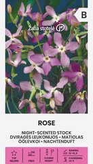 Обычная маттиола Rose цена и информация | Семена цветов | pigu.lt