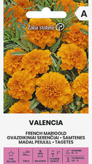 Бархатцы низкорослые Valencia цена и информация | Семена цветов | pigu.lt
