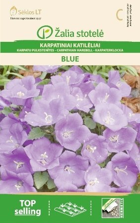 Karpatiniai katilėliai Blue цена и информация | Gėlių sėklos | pigu.lt