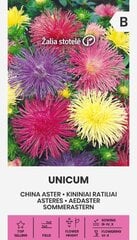 КИТАЙСКАЯ АСТРА UNICUM 1 Г цена и информация | Семена цветов | pigu.lt