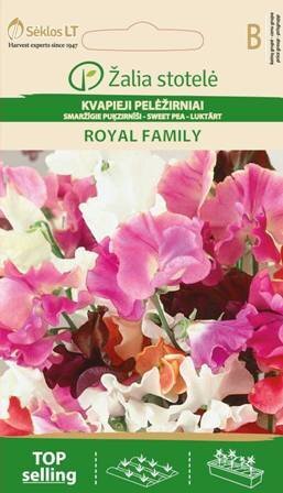 Kvapieji pelėžirniai Royal family kaina ir informacija | Gėlių sėklos | pigu.lt