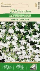 Лобелия ежевидная White cascade цена и информация | Семена цветов | pigu.lt