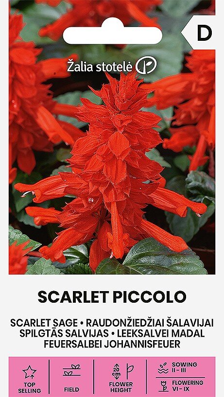Raudonžiedžiai šalavijai Scarlet Piccolo kaina ir informacija | Gėlių sėklos | pigu.lt