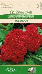 Целозия серебристая Toreodor цена и информация | Семена цветов | pigu.lt