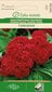 Skiauterėtosios celiozijos Toreodor kaina ir informacija | Gėlių sėklos | pigu.lt