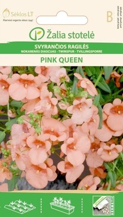 Svyrančios diascijos Pink queen цена и информация | Gėlių sėklos | pigu.lt