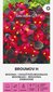 Visadžydės begonijos Broumov H kaina ir informacija | Gėlių sėklos | pigu.lt