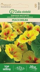 Низкая настурция Peach melba цена и информация | Семена цветов | pigu.lt