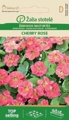 Низкая настурция  Cherry rose цена и информация | Семена цветов | pigu.lt