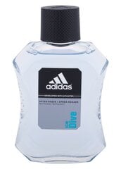 Adidas Ice Dive aftershave для мужчин 100 мл цена и информация | Adidas Духи, косметика | pigu.lt