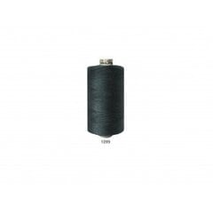 Швейные нитки 120 RainBow® CORI C452 1000 м, цвет 1099 цена и информация | Siuvimo reikmenys | pigu.lt