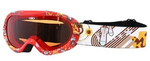 Горнолыжные очки  Akiniai Worker Doyle  цена и информация | Лыжные очки | pigu.lt