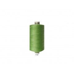 Швейные нитки № 120 RainBow® CORI C452 1000 м, цвет 1187  цена и информация | Siuvimo reikmenys | pigu.lt