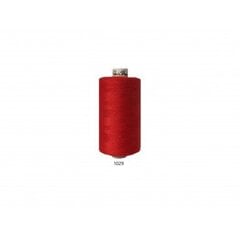 Джинсовые швейные нитки № 50 RainBow® CORI C202 500 м, цвет 1029 цена и информация | Siuvimo reikmenys | pigu.lt