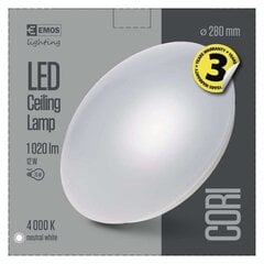 Светодиодный потолочный светильник Cori R 12W/нейтральный цена и информация | Потолочные светильники | pigu.lt