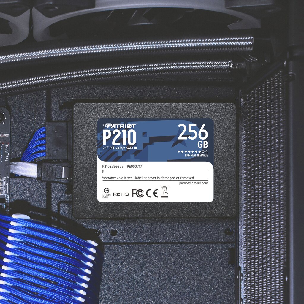 Patriot P210S256G25 цена и информация | Vidiniai kietieji diskai (HDD, SSD, Hybrid) | pigu.lt