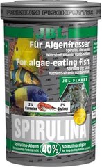 Корм растительный для рыб JBL Spirulina Premium, 1000 мл цена и информация | Корм для рыб | pigu.lt