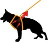 Petnešos šunims Ferplast Ergocomfort, juodos, S kaina ir informacija | Antkakliai, petnešos šunims | pigu.lt