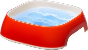 FERPLAST Glam XS Pet watering bowl, white-red цена и информация | Миски, ящики для корма | pigu.lt