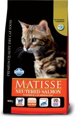 Farmina Pet Foods Matisse su lašiša, 1.5 kg kaina ir informacija | Sausas maistas katėms | pigu.lt