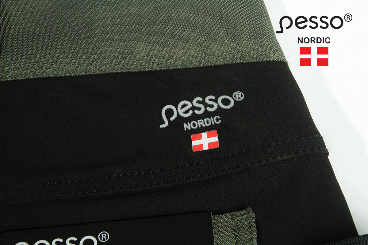 Darbo kelnės Pesso Nordic TITAN Flexpro 125 kaina ir informacija | Darbo rūbai | pigu.lt