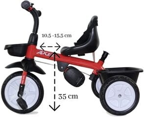 Толкаемый трехколесный велосипед Milly Mally Axel, Red цена и информация | Трехколесные велосипеды | pigu.lt