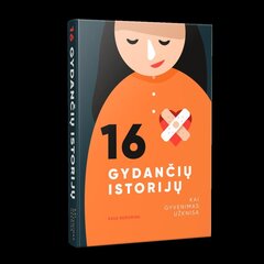 16 gydančių istorijų цена и информация | Самоучители | pigu.lt