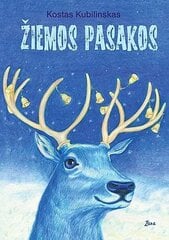 Žiemos pasakos kaina ir informacija | Pasakos | pigu.lt