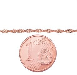 Золотая цепочка Сингапур 1.5 мм , алмазная обработка граней цена и информация | Украшения на шею | pigu.lt