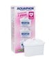 Aquaphor B100-25 Maxfor kaina ir informacija | Vandens filtrai | pigu.lt