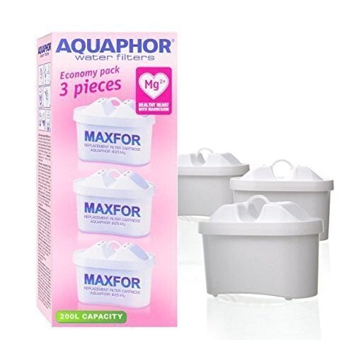 Aquaphor B100-25 Maxfor цена и информация | Vandens filtrai | pigu.lt