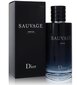 Kvepalai Dior Sauvage PP vyrams, 200 ml kaina ir informacija | Kvepalai vyrams | pigu.lt