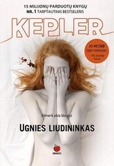 Ugnies Liudininkas цена и информация | Детективы | pigu.lt