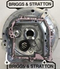 Karteris tinkantis Briggs & Stratton OHV kaina ir informacija | Sodo technikos dalys | pigu.lt