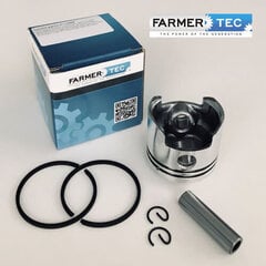 Поршневой комплект для триммера 52cc FARMERTEC цена и информация | Запчасти для садовой техники | pigu.lt