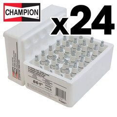 Žvakė Champion J19LM/W24 kaina ir informacija | Sodo technikos dalys | pigu.lt