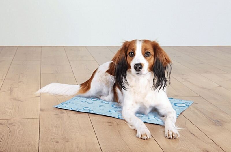 Trixie vėsinantis kilimėlis šunims, L, mėlynas kaina ir informacija | Guoliai, pagalvėlės | pigu.lt