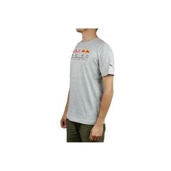 Спортивная футболка Puma Red Bull Racing Logo Tee M 595370 02, 61920 цена и информация | Мужская спортивная одежда | pigu.lt
