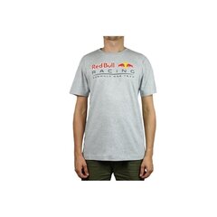 Спортивная футболка Puma Red Bull Racing Logo Tee M 595370 02, 61920 цена и информация | Мужская спортивная одежда | pigu.lt